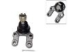 Ball Joint:40160-50W25