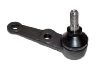 Ball Joint:MB109169