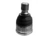 Joint de suspension Ball Joint:LC62-32-280