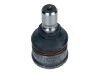 Joint de suspension Ball Joint:LC62-34-550