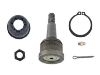 Joint de suspension Ball Joint:51350-SHJ-A01