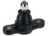 Ball Joint:51760-2H000