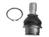 Ball Joint:40160-EB310